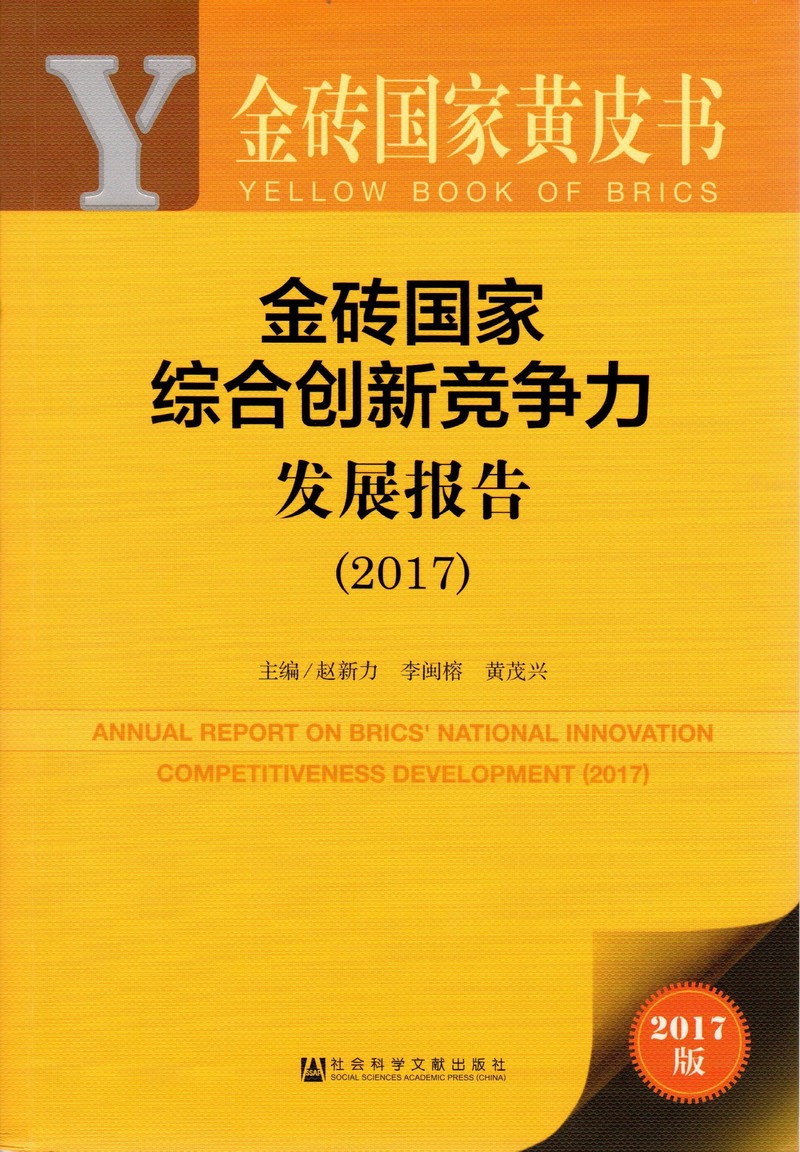 黄到你下面流水的视频网站金砖国家综合创新竞争力发展报告（2017）